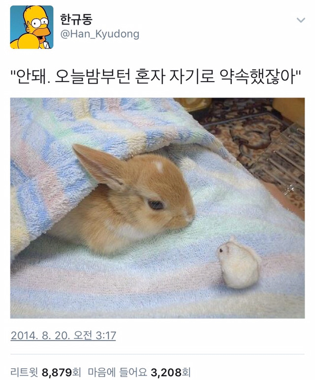 안돼. 오늘부턴 혼자 자기로 약속했잖아 | 인스티즈