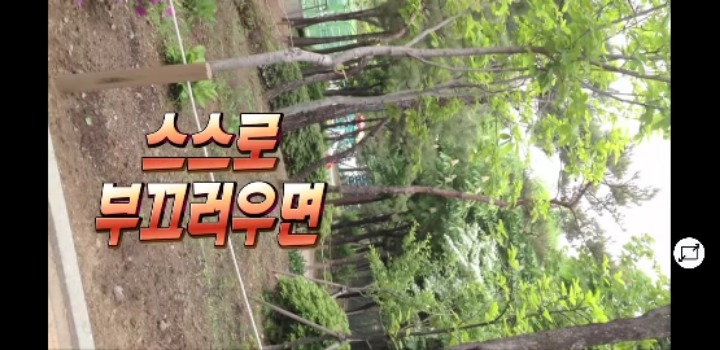 MBC사장님 레전드.JPG | 인스티즈