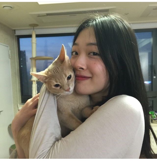 설리 인스타 | 인스티즈