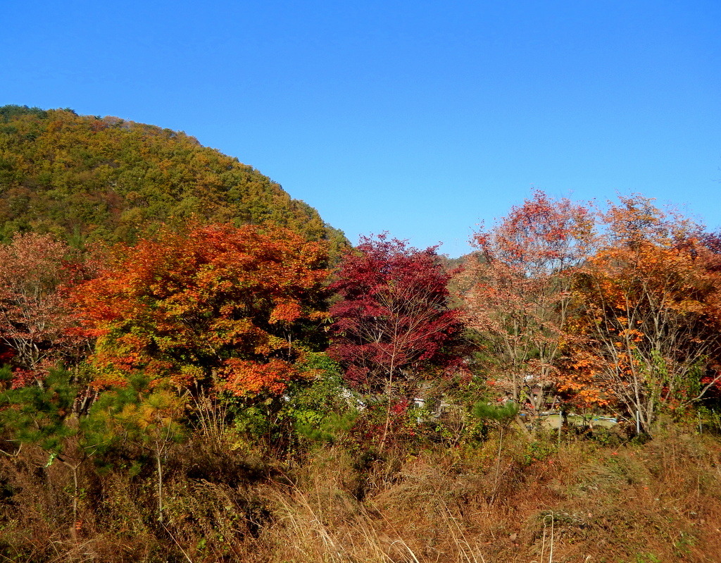 구봉산 이미지