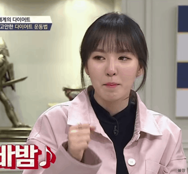 비정상회담 나온 완이 웬디 & 슬기 | 인스티즈