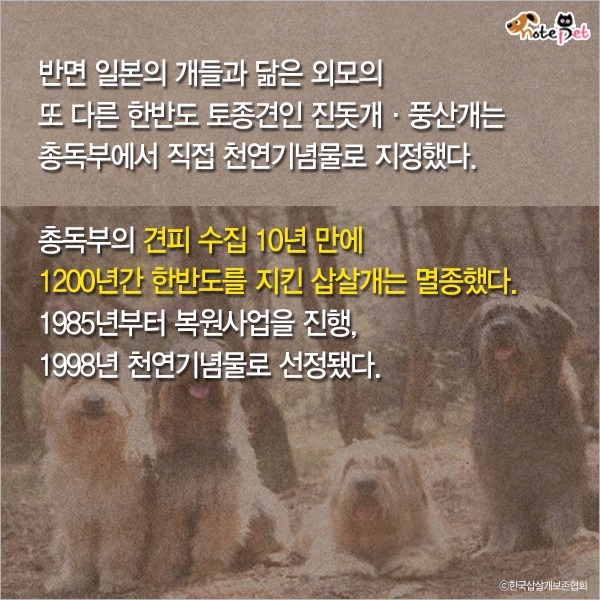  일제강점기 한반도에 사라진 동물들 | 인스티즈