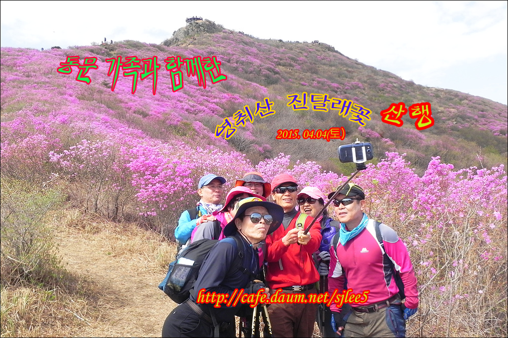 진달래주유소 이미지