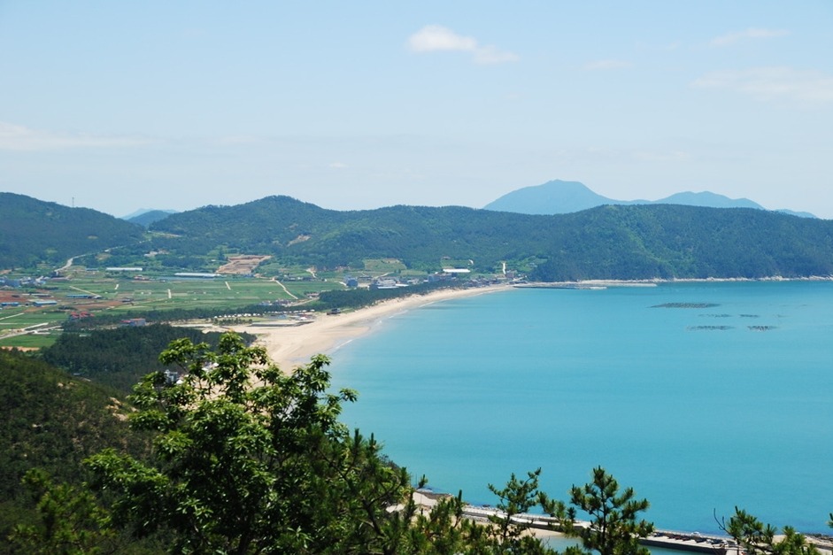 박경자식품 이미지