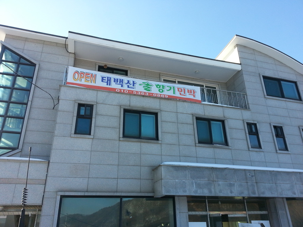 유일사 이미지