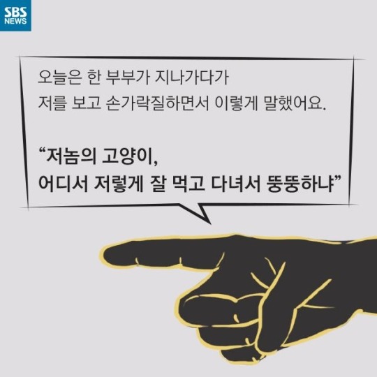 "살찐 거 아니에요 부은 거예요"(길고양이) | 인스티즈