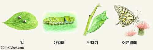 은빛유치원 이미지