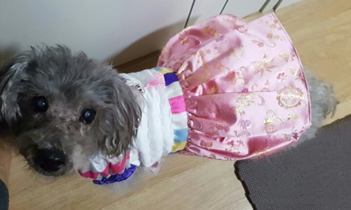 까미 이미지