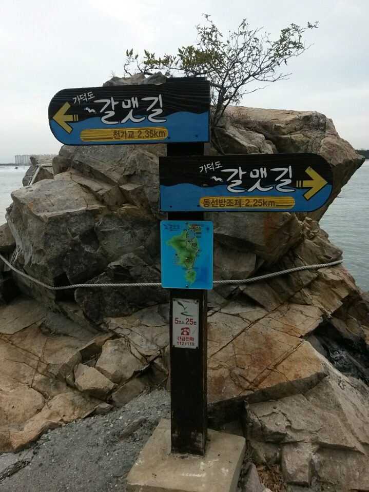 놀차 이미지