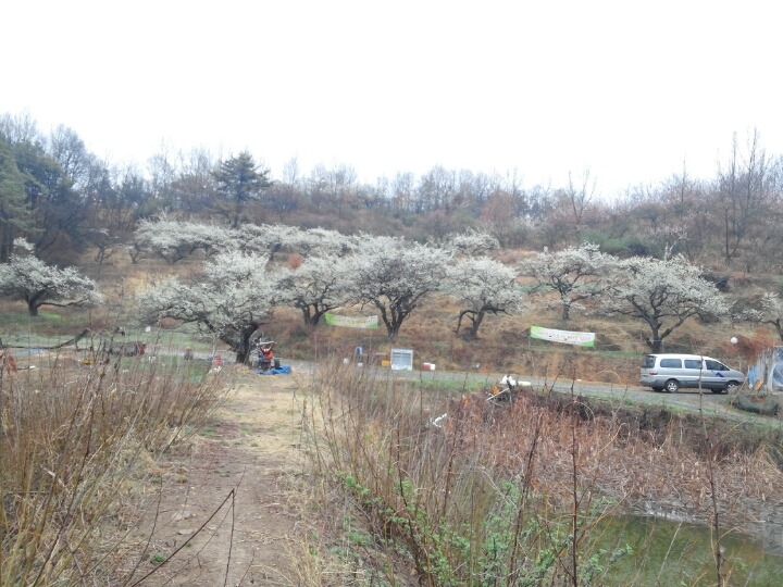 카페 쉼터 이미지