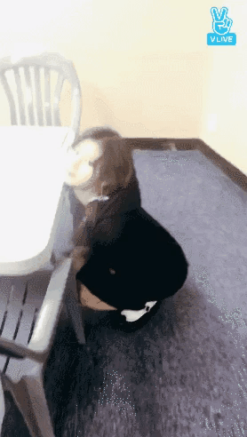 민화투자키 사나.gif | 인스티즈