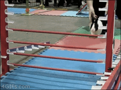 총체적 난국.gif | 인스티즈