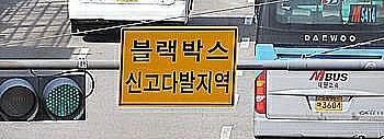 [블박] 운전을 개한테 배움 | 인스티즈