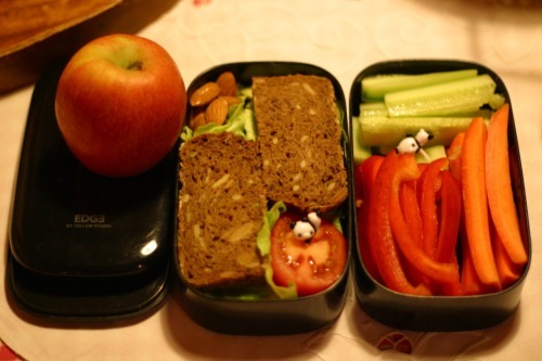 외국 다이어터의 점심 도시락.jpg | 인스티즈