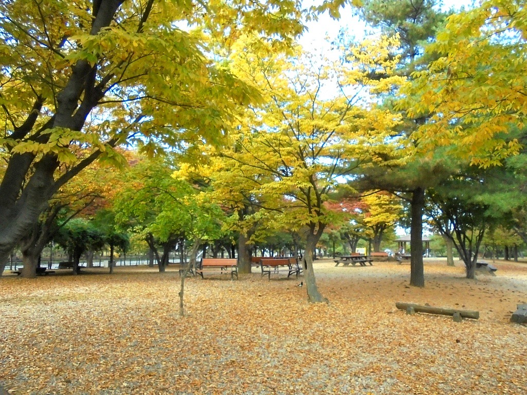 허밍비 이미지