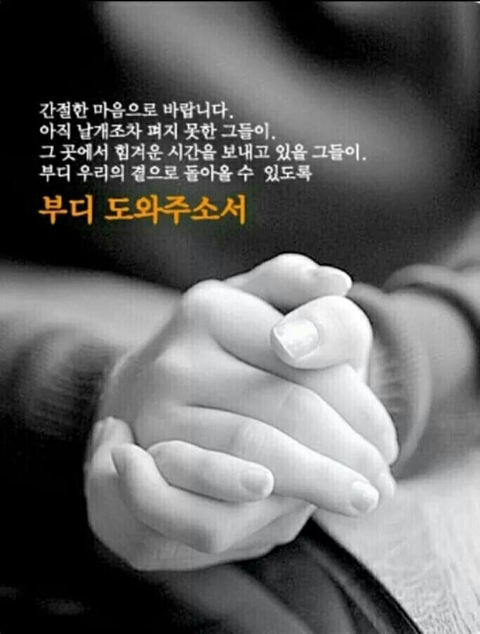 고혼 이미지
