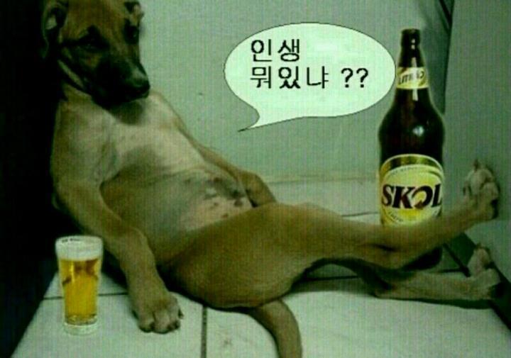 혼술 이미지