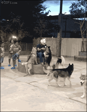 와 이 사람 생겼다.gif | 인스티즈