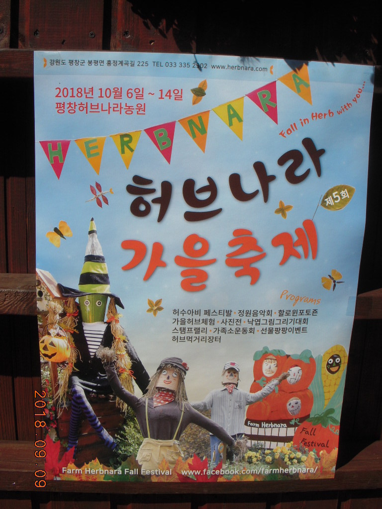 봉평메밀나라 이미지