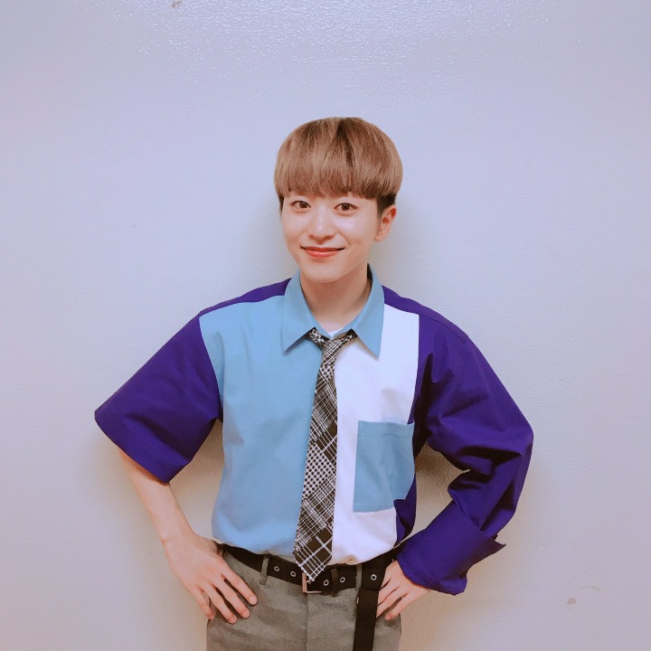 라운 이미지