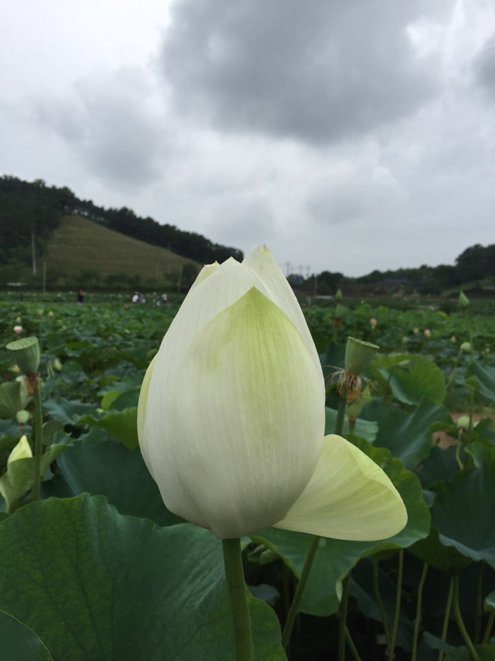 농장사람들식당 이미지