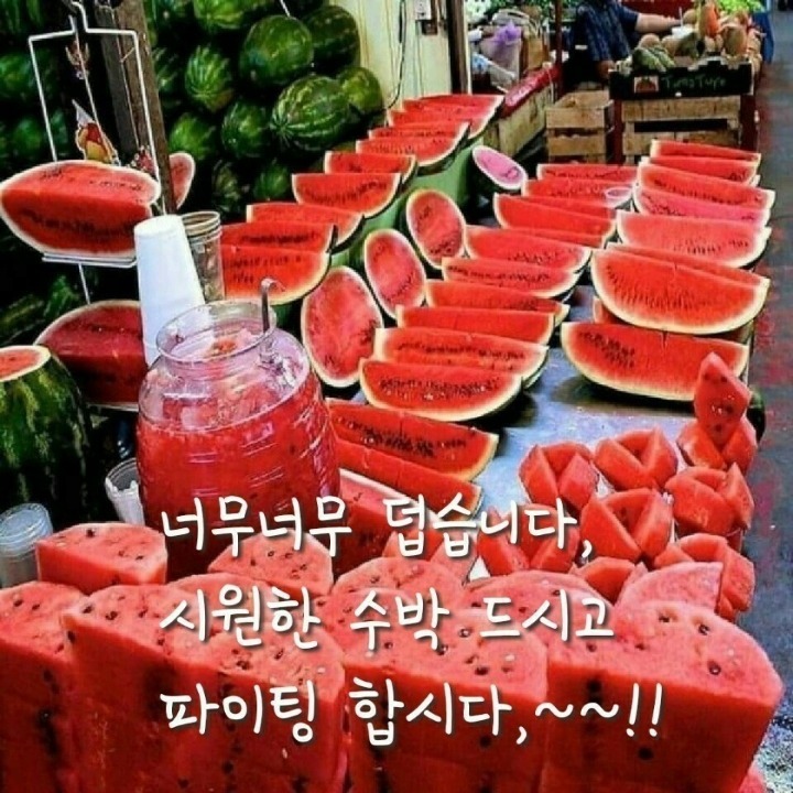 순자네 이미지