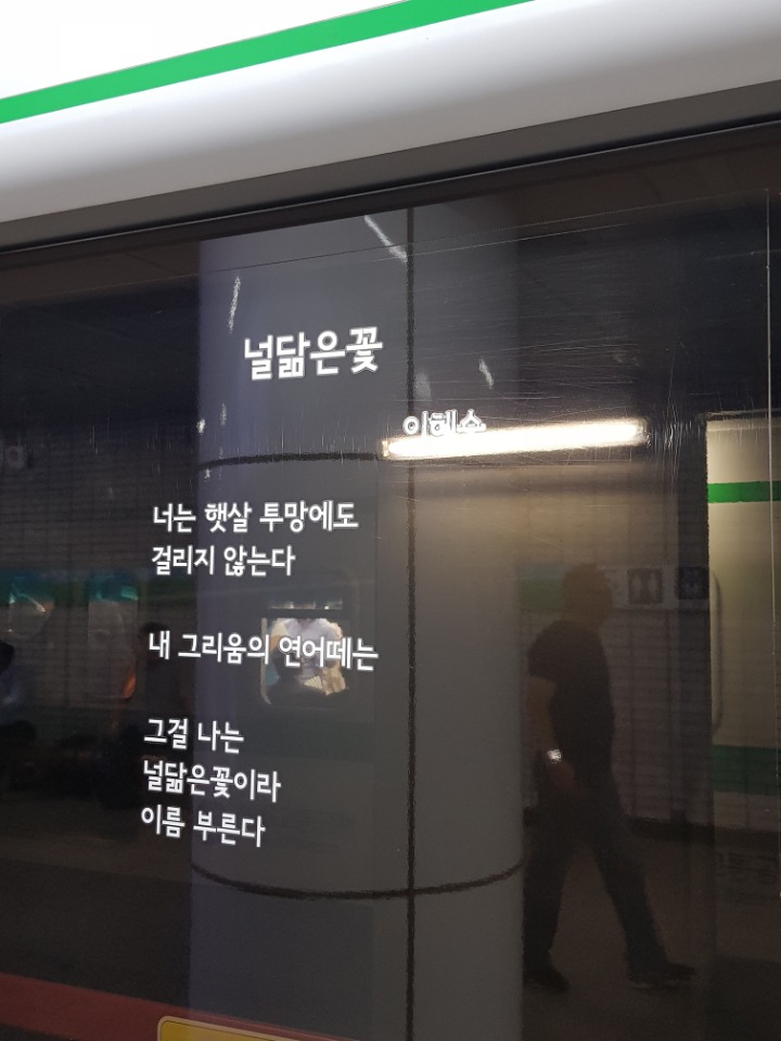 널;닮은꽃 이미지