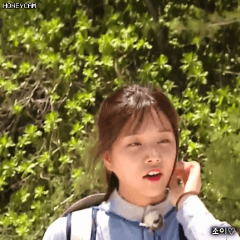 171201 정글의법칙 쿡아일랜드 라붐 솔빈.gif | 인스티즈