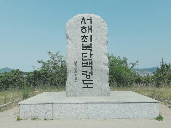 훼미리플라워 이미지