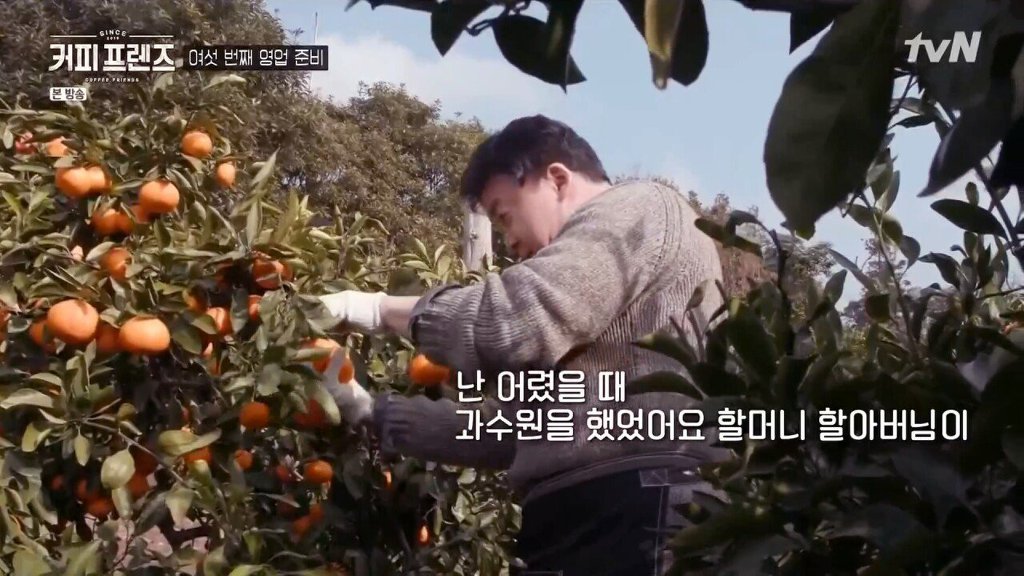 제주도에 알바하러간 백종원 | 인스티즈