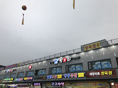 청하회타운 이미지