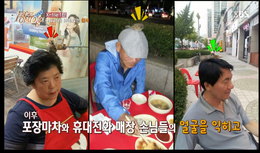 [세상에이런일이] 엄청 충격적이였던 오늘편 사람을 좋아하는 참새 새순이 이야기.jpg | 인스티즈