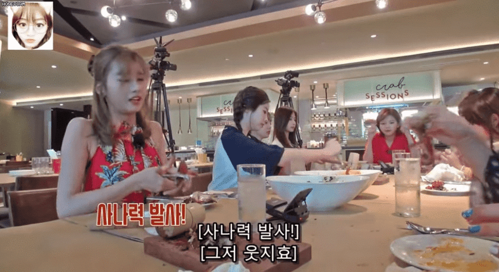 사나 vs 후추크랩 ㅋㅋㅋㅋㅋ.gif | 인스티즈