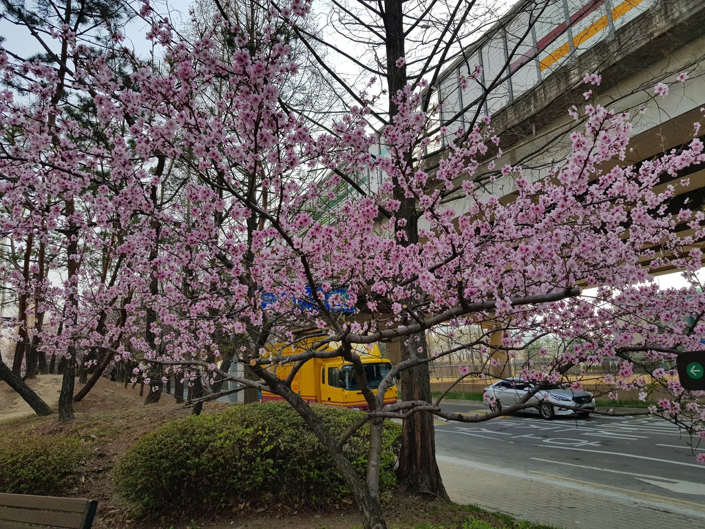 참숯구이전문점 이미지