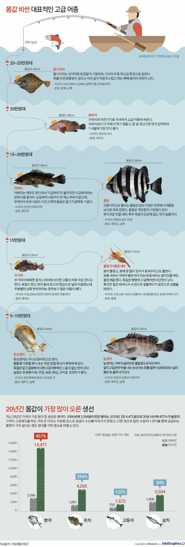 몸값 비싼 대표적인 고급어종 | 인스티즈