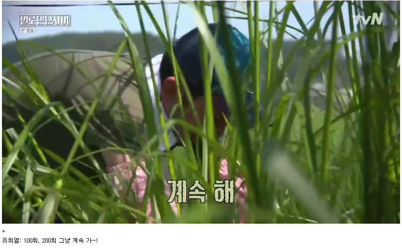유재석이 프로그램이 힘들어서 끊어간다고 확언한 프로그램?? | 인스티즈