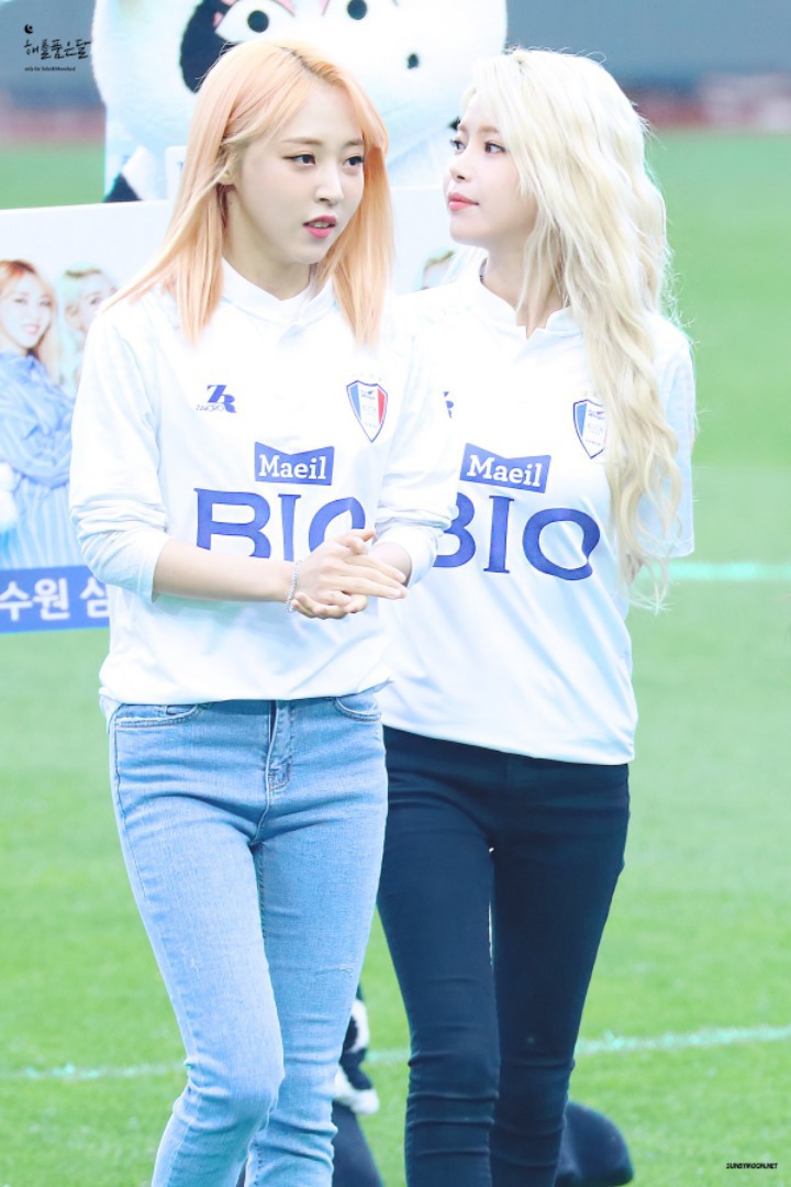 별콩 이미지