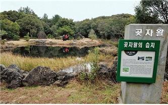 (사) 문화마을 제주 이미지