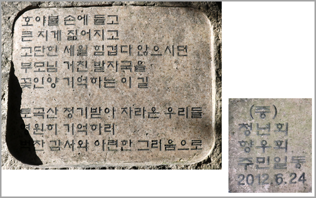 사지목나무그늘 이미지