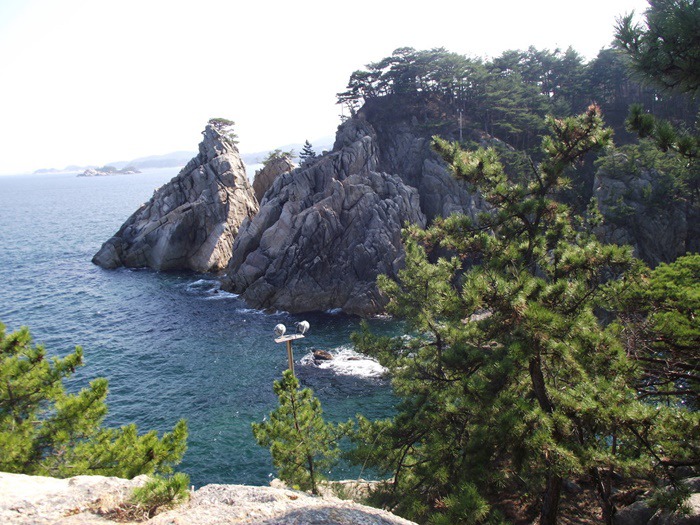 동영사 이미지