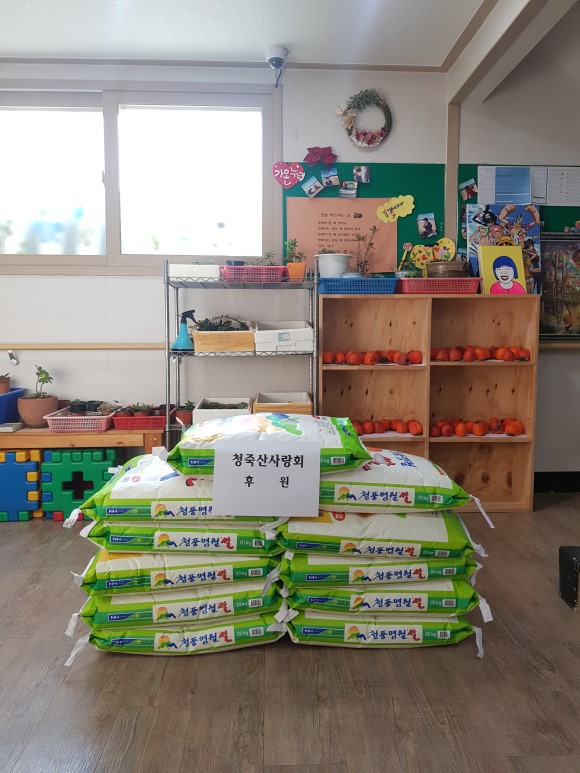 청죽 이미지