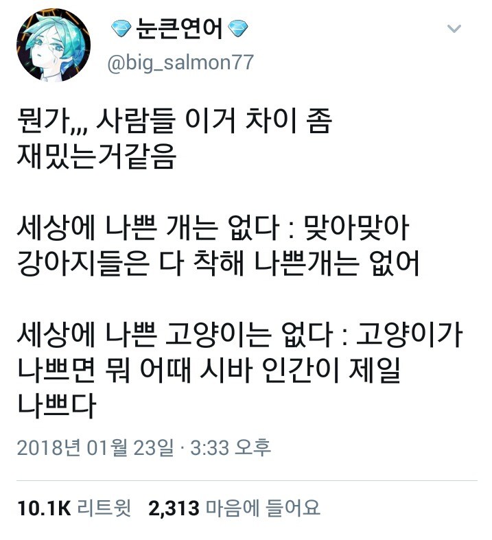 세나개와 세나고의 차이.twt | 인스티즈