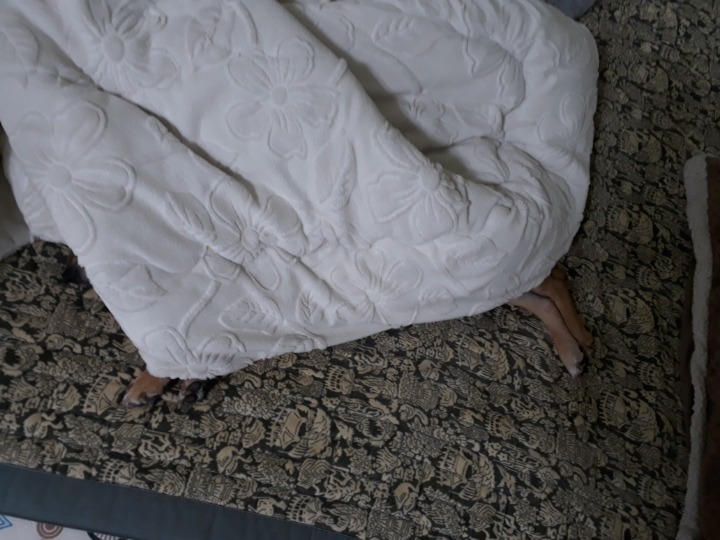 밍구네일 이미지