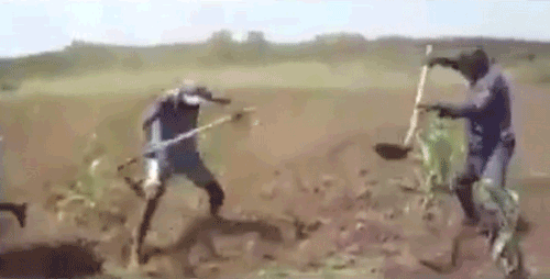 포병이 하는 일.gif | 인스티즈