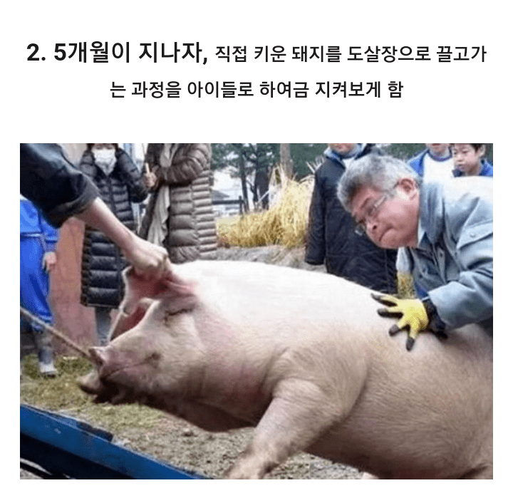 일본의 흔한 초등학교 | 인스티즈