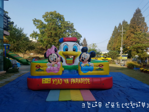 동산스포츠 이미지