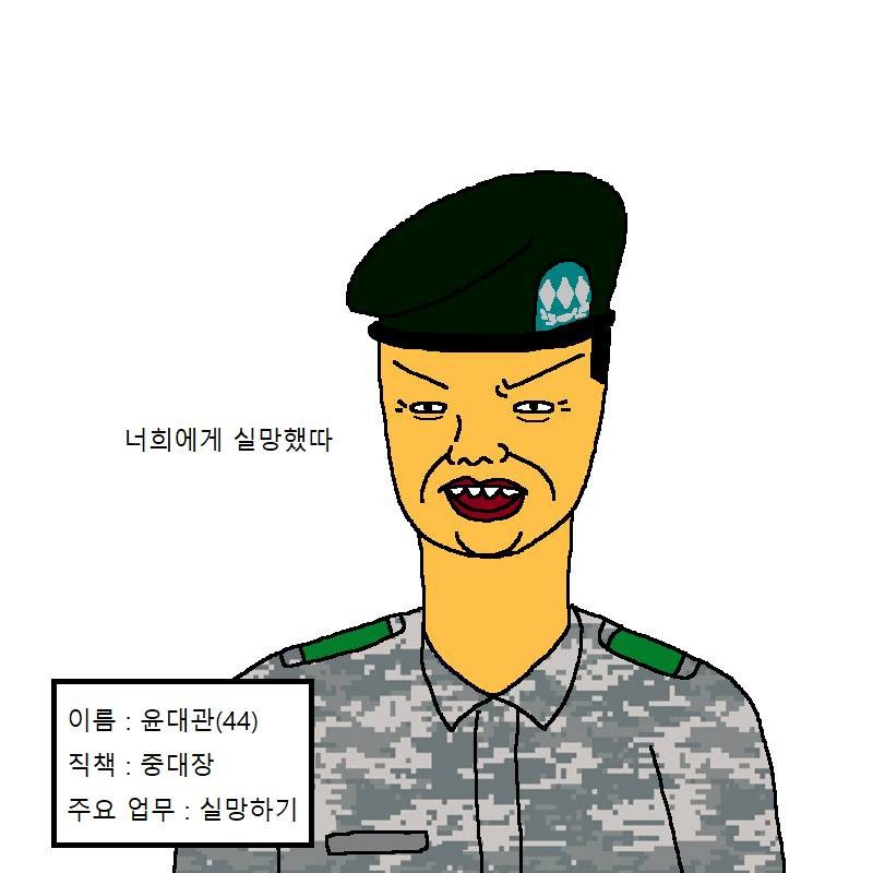 중대장이 실망하는 만화 | 인스티즈