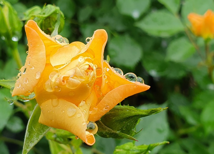 9941AD4F5CE0E13838AEF4