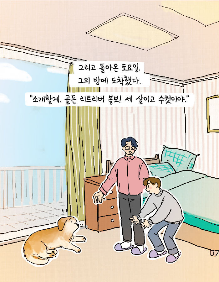 [책소개] 어쩌다보니 대형 댕댕이랑 같이 살게 됨 | 인스티즈
