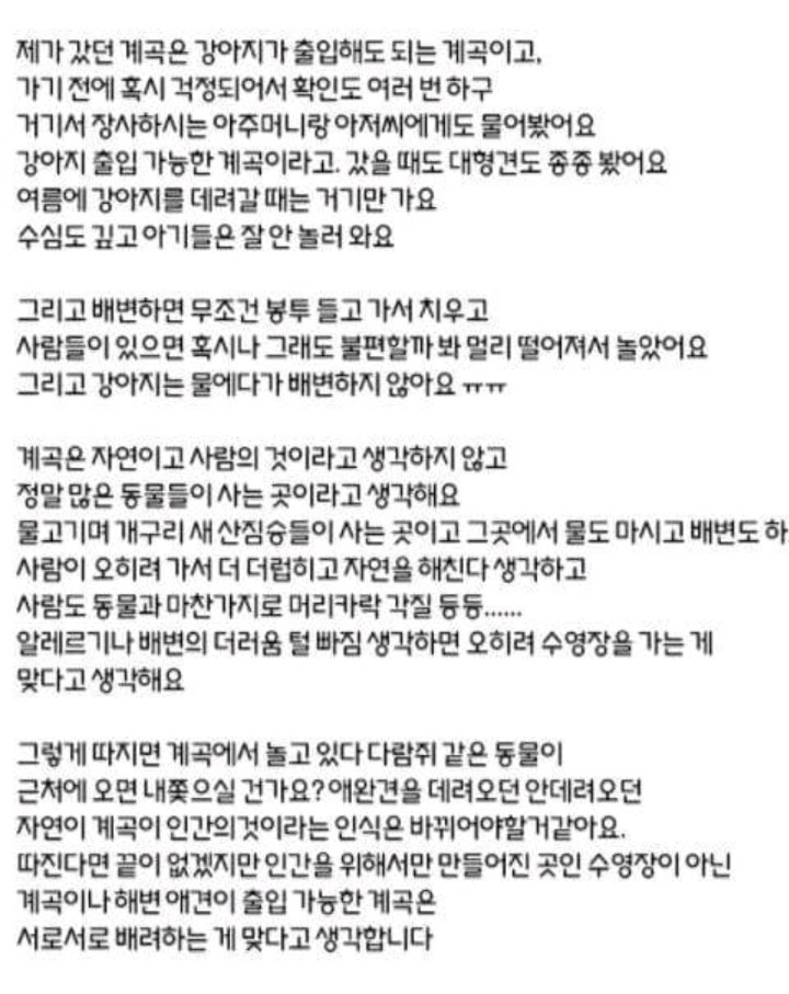 강아지는 계곡에 들어가면 안되나요? | 인스티즈